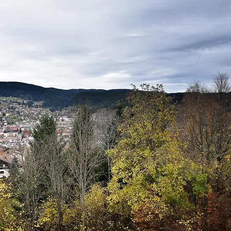 Ferienwohnung La Taniere : 4 Personnes Gérardmer Exterior foto