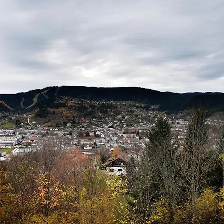 Ferienwohnung La Taniere : 4 Personnes Gérardmer Exterior foto