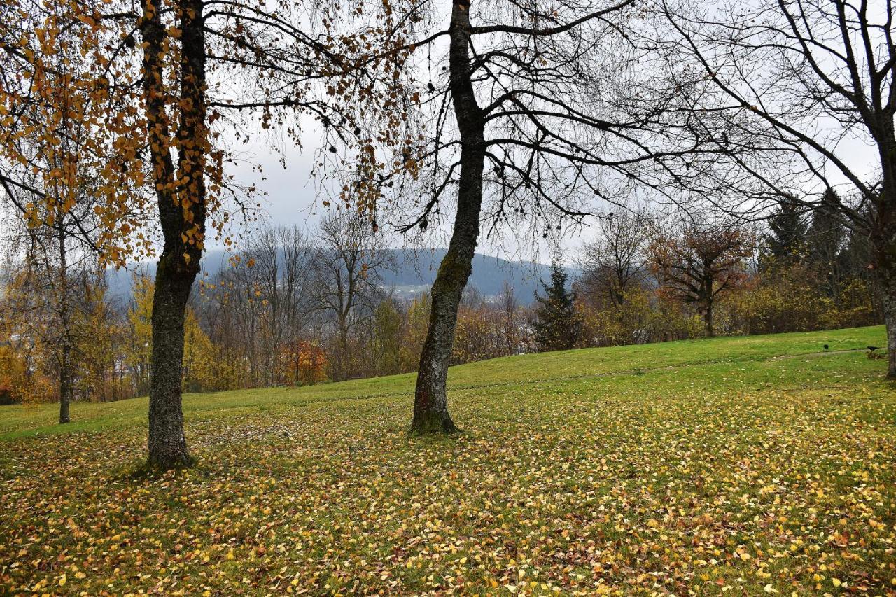 Apartment La Taniere : 4 Personnes Gérardmer